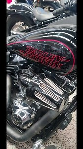 Auckland Harley-Davidson on Reels