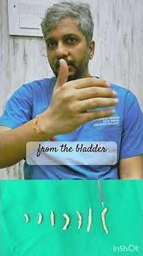 TURP resection technique - safe and faster resection