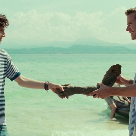 Elio and Oliver - Call Me By Your Name Kiss Scene Analysis