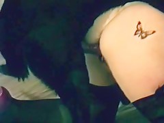 Cannibal Cupcake - Cannibal Cupcake & Mr. Big