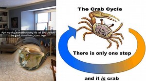 22 Surreal Memes That Are Deeply Perplexing