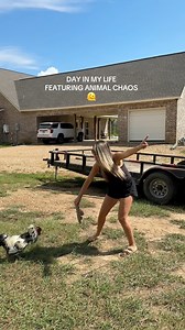885K views · 12K reactions | Just over here missing summer weather… my attack rooster… not so much. 﫠 #ditl #farmlife | Amelia LaPrairie Brooks | Facebook
