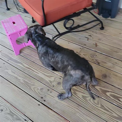 6K views · 438 reactions | ECHO Update She is so very precious. She...