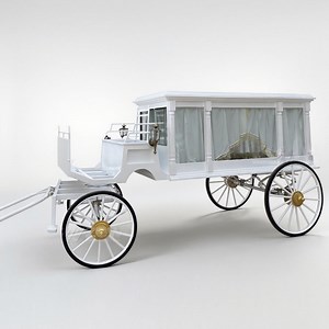 [Hot Item] Chinese Horse-Drawn Funeral Car Electric Carriage