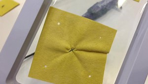 This is the ProGlide vascular closure device being shown by Abbott on the expo floor at the 2019 Transcatheter Cardiovascular Therapeutics (TCT) conference this week. The system was mentioned in sessions about vascular closure for large bore TAVR, EVAR and hemodynamic support devices. For large devices two of these devices can be used. It mimics a surgical suture. #TCT19 #TCT2019 | Diagnostic and Interventional Cardiology - DAIC | Facebook