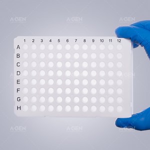 [Hot Item] Fully Skirt Lab Plastic 100UL PCR Plate 0.1ml 96 Well Plate with White Frame and Transparent Tube PCR-96br-Lf-Cw-P