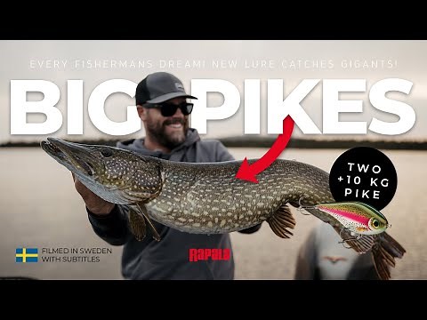 Rapala Super Shadow Rap Jerk 11 - CRAZY BIG PIKES on NEW jerkbait!