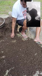 83 reactions · 13 shares | Vermicast is a mixture of eearthworm...