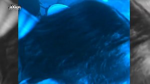 BOOMERANG (oya) | Bambang Boomers