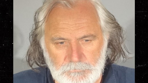 'Downton Abbey' Actor Rade Serbedzija Arrested for DUI