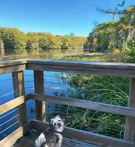 The Waterfront | Hollywood dally Melissa Benoist Supergirl fhashon