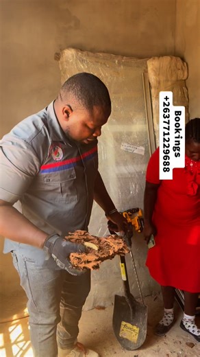 3K views | When perfection meets professionalism. Today in Seke, Besa...