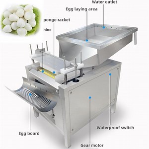 [Hot Item] Commercial Quail Egg Sheller Automatic Quail Egg Peeling Machine