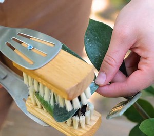 92K views · 229 reactions | Astuces de jardinage pour les experts | Brico Famille | Facebook