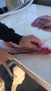Experience Pro Series = Easy Work! @captchrislemieux #filletfriday | danco pliers