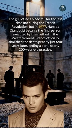 France used the guillotine until 1977, why do you think the president allowed this last execution? #history #historyfacts #worldhistory | Ancient Enigma