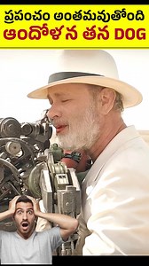 158K views · 3.3K reactions | Finch's Final Act: Robot Saves Dog in...