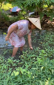 498K views · 14K reactions | KANGKONG : fresh from the Farm. | Brenda Mage | Facebook