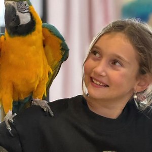 Gibson Girl on Reels