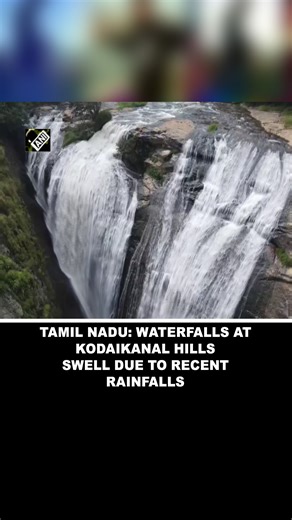 2.1K views · 36 reactions | Tamil Nadu: Waterfalls at Kodaikanal Hills swell due to recent rainfalls #TamilNadu #KodaikanalHills #CycloneMichaung | Asian News International (ANI) | Facebook