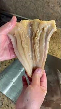 Preparing 3 lbs Geoduck Sashimi in 2 minutes 😋 #geoduck #sashimi imi