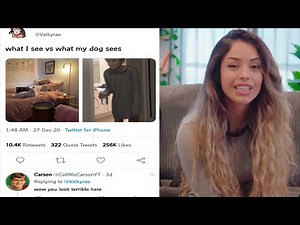 Valkyrae receives an apology from callmecarson