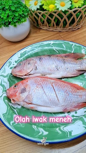 Dek ingi njangan iwak iki njangan iwak meneh #resepmasakan #masakanrumahan | Tutorial Ngliwet