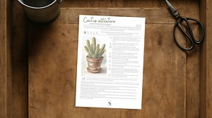 Care Sheet for Pincushion Cactus (mammillaria Elongata) | Digital Botanical Guide in PDF for Plant Lovers. - Etsy Canada
