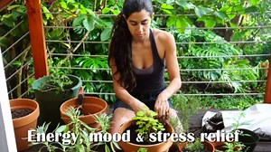 BlueBonnet Echinacea Goldenseal Root Extract Supplement, 60 Count