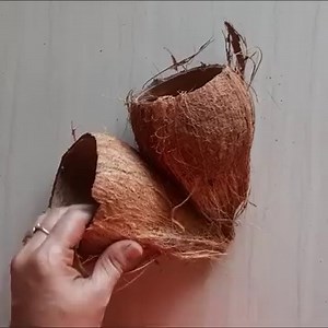 Best & Creative Coconut Shell Gardening Ideas for Home- 2 Unique DIY Coconut Shell Crafts | A2 Crafts