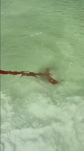 The process of digging lake salt from salt fields