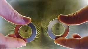 File:DIY Ferrocell, View Magnetic Fields with Ferrofluid.webm - Wikimedia Commons