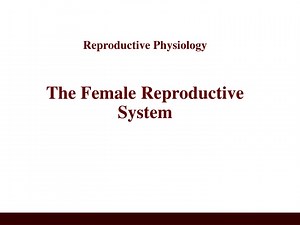 Reproductive Physiology The Female Reproductive System - SlideServe