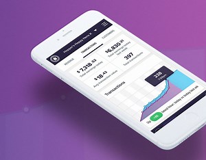 Paymark Insights Onboarding Videos - Ian Mason
