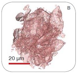 Essential Ftir Software Crack Works