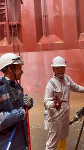 “Enclosed Space Cargo Hold Identification, Right Ship 3.2 🚢⚓️” #fblifestyle #SEAMAN #seamanslife | Rbc Gamefowl