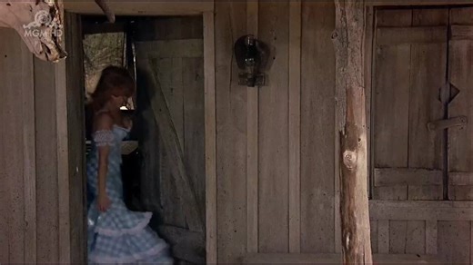 The Villain AKA Cactus Jack (1979), with Kirk Douglas, Arnold Schwarzenegger, and Ann-Margret (85 today), is the closest thing I've ever seen to live-action Looney Tunes cartoon. It even closes with the “That’s All Folks” music.