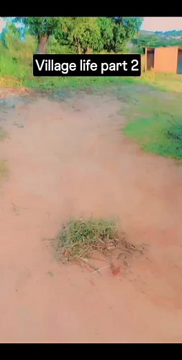 Doing Makoti duties in the village #villagelife | Primrose Mandabva