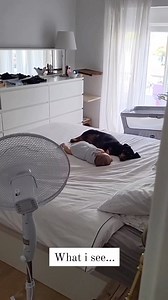 18K views · 613 reactions | Perspectives 殺 @podarroz_weimaraner...