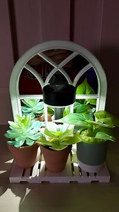 Mirrored Plant Shelf Solar Light Dollar Tree DIY #dollartreediy #solarlights #CraftyBeach | Crafty Beach