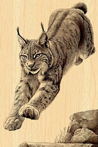 Mountain Lion Engraving PNG Transparent | Wild Lynx Leap Clipart | Laser Wood & CNC Engraving Animal Design (digital Download) - Etsy UK
