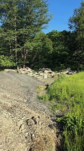 49K views · 258 reactions | Express de Banat on Reels | Facebook