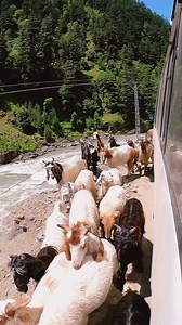 Neelam valley ❤️❤️😊 | Beauty Of Pakistan