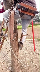 59K views · 317 reactions | Climbing time wooden pole #Lineman #electricity #transformers #safety #climbing | Lineman24.com | Facebook