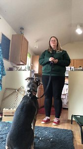 Leia has a stubborn streak and doesn’t always like to listen and...