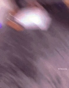 Girl and wig | Ohmygif | Facebook