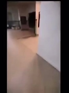 1.5K views · 11 reactions | Creepy Facts on Reels | Facebook