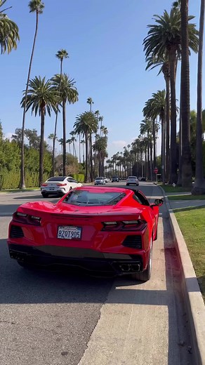 #alenaomovych @Alena_Omovych #ukraine #model #kiev #instagram #beutuful #fyp #recommendations #love