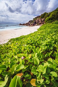 Grand Anse beach at La Digue island in Seychelles. White sandy beach,...