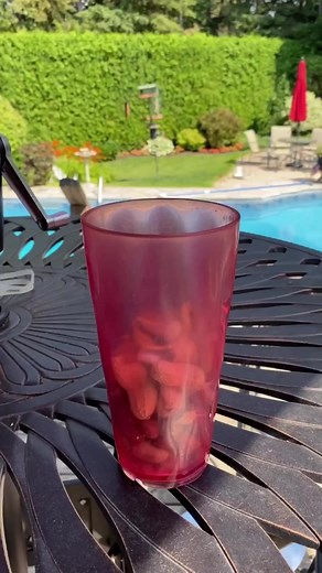 Deep dive 🌰 #claudemonetthechippy | Van Gogh the Chippy